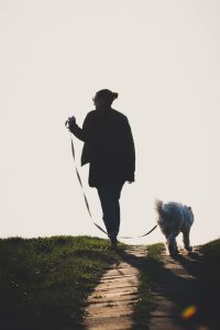 6 Incredible Benefits of Walking Your Dog Every Day
