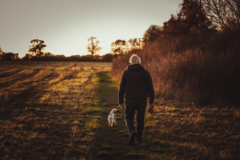 6 Incredible Benefits of Walking Your Dog Every Day